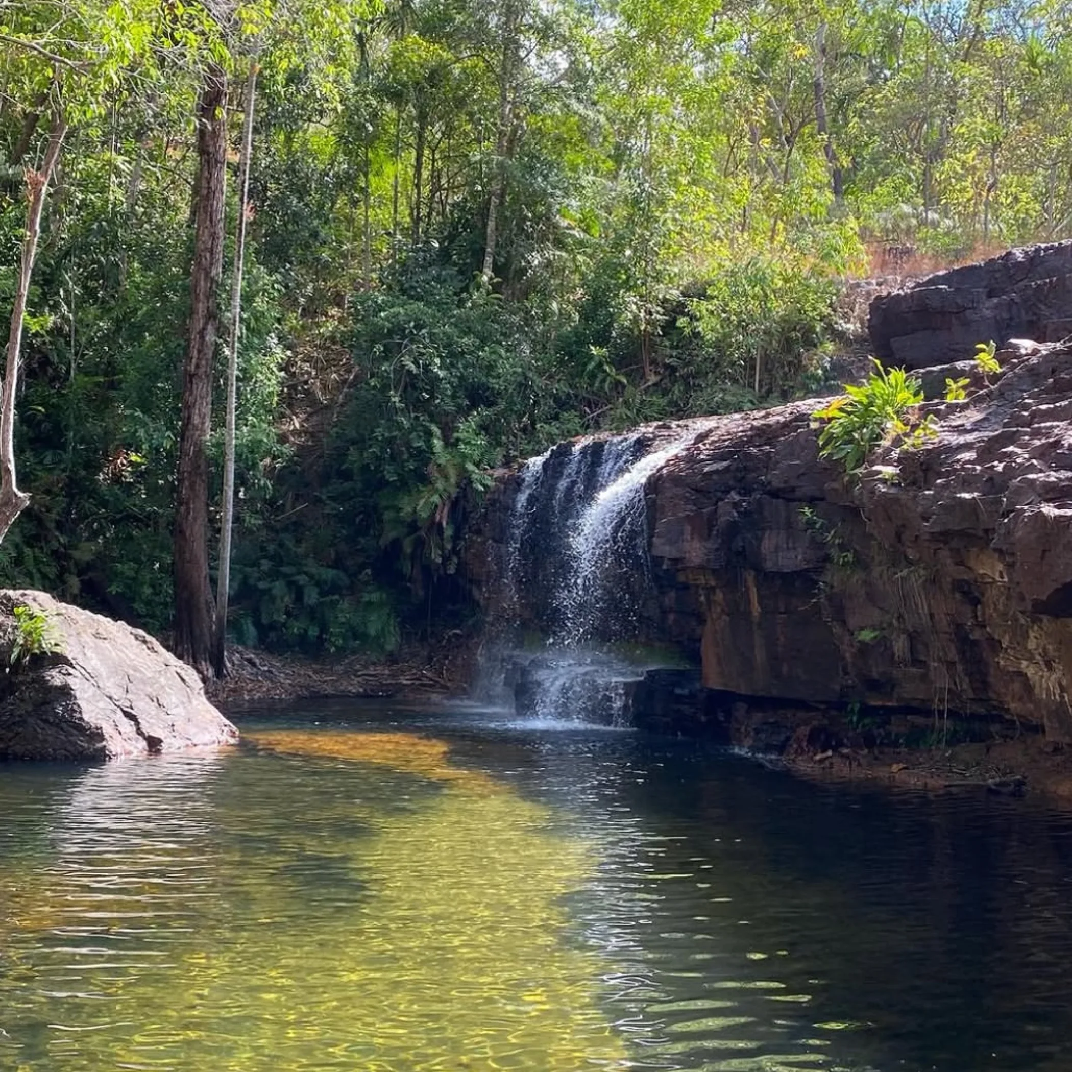 litchfield swimming spot