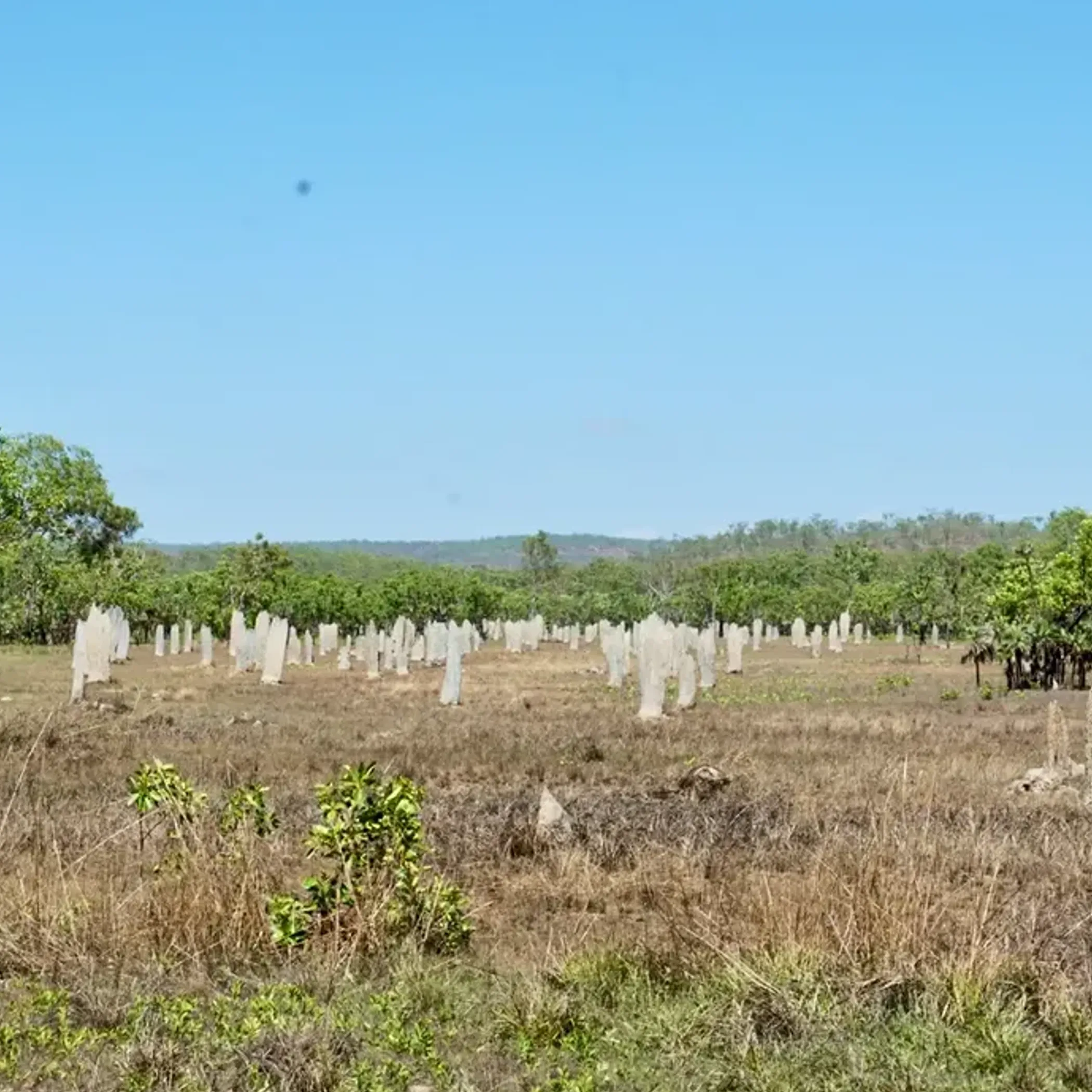 litchfield national park